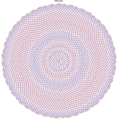 Una representación de espirales de Fibonacci en un girasol de 3.000 pipas.